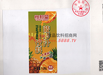 作品登記證菠蘿汁背面