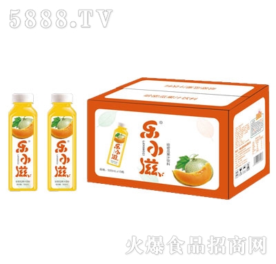 樂(lè)小滋哈密瓜果汁飲料500mlX15