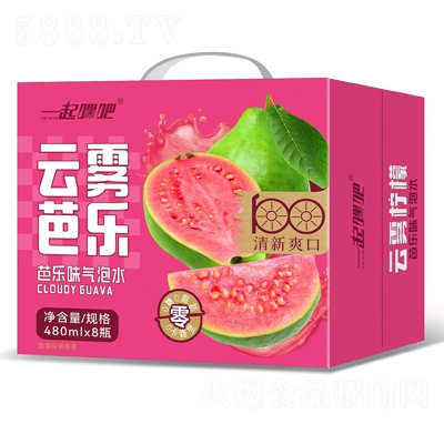 一起嘿吧云霧芭樂(lè)氣泡水480mlX8瓶招商