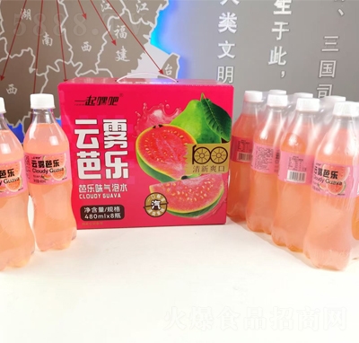 一起嘿吧云霧芭樂(lè)氣泡水480mlX8瓶