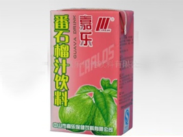 中山市嘉樂(lè)保健飲料有限公司