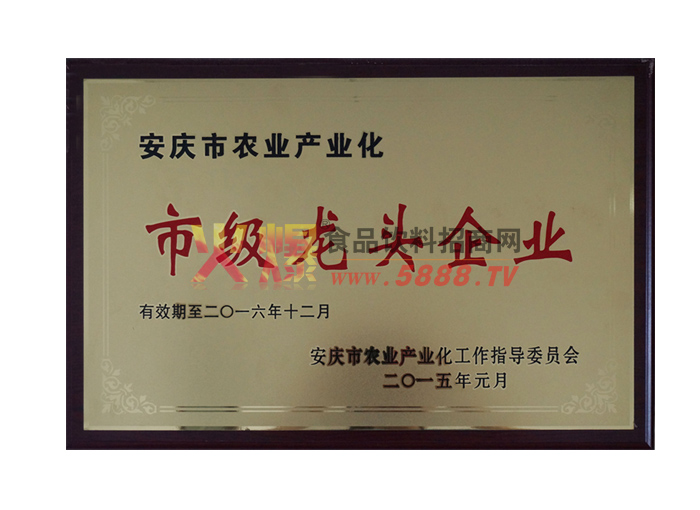市級龍頭企業(yè)