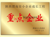 小企業(yè)成長(zhǎng)工程重點(diǎn)企業(yè)