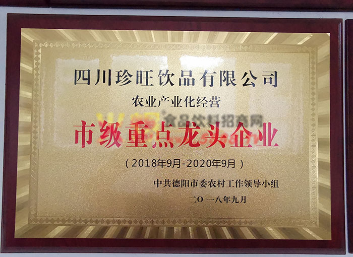 重點(diǎn)龍頭企業(yè)