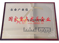 國家重點龍頭企業(yè)