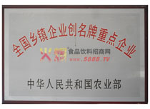 全國(guó)鄉(xiāng)鎮(zhèn)企業(yè)創(chuàng)名牌重點(diǎn)企業(yè)