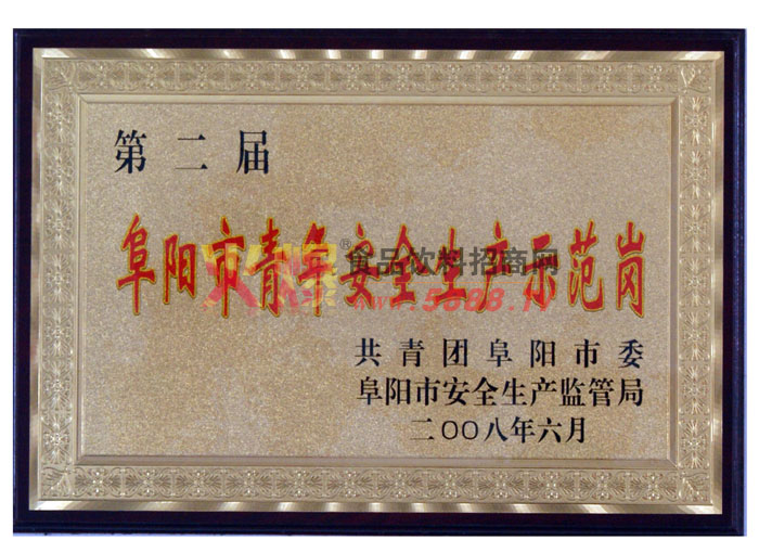 阜陽市青年安全生產(chǎn)示范崗