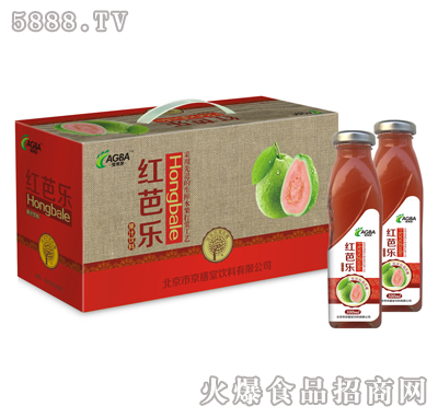 樹(shù)葉方瓶紅芭樂(lè)300ml×10瓶