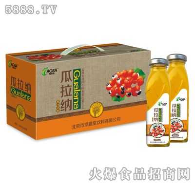 樹(shù)葉方瓶瓜拉納300ml×10瓶