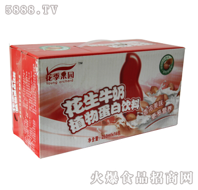 花季果園花生牛奶植物蛋白飲料250mlx16盒