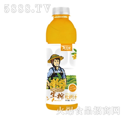 龍力卡生榨枇杷汁600ml