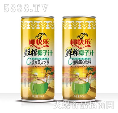 椰快樂(lè)怡青春鮮榨椰子汁植物蛋白飲料245ml