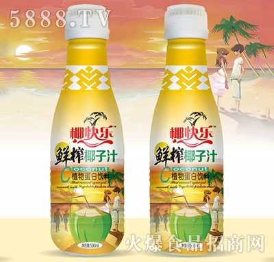椰快樂(lè)怡青春鮮榨椰子汁植物蛋白飲料500ml