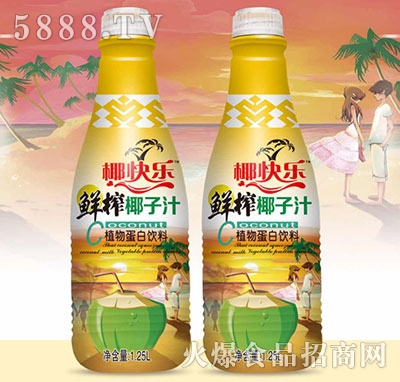椰快樂(lè)怡青春鮮榨椰子汁植物蛋白飲料1.25l