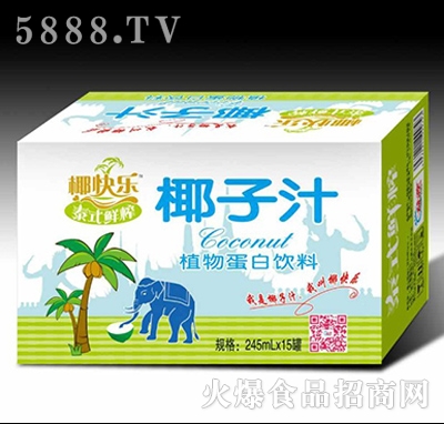 椰快樂(lè)泰式鮮榨椰子汁植物蛋白飲料245MLX12瓶