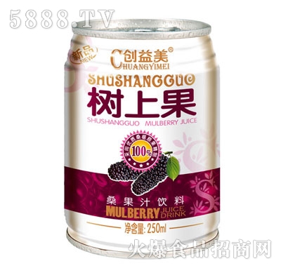 樹上果桑果汁250ml