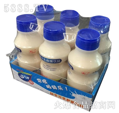 動(dòng)力源乳酸菌