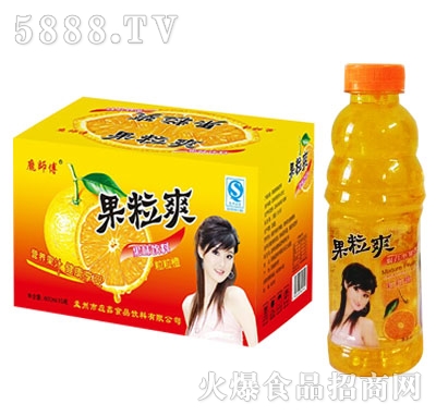 龐師傅果粒橙600x15瓶