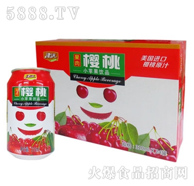 津沅櫻桃果味飲料310ml