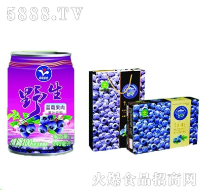 小白蘭野生藍莓果肉果汁飲料240mlx20罐