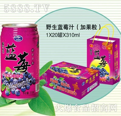 小白蘭野生藍莓果肉果汁飲料310mlx20罐