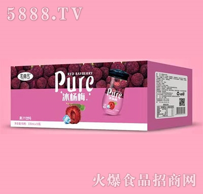 龍益元冰楊梅果汁飲料330ml×10瓶