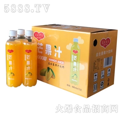 戀愛(ài)果實(shí)益生菌芒果汁480ml