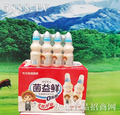 特圣牧業(yè)菌益鮮乳酸菌風味飲品200mlx24瓶