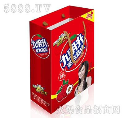九明升果粒荔枝復(fù)合果汁禮盒