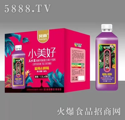 昊雨益生菌發(fā)酵藍(lán)莓&樹莓果汁飲料1.5LX6