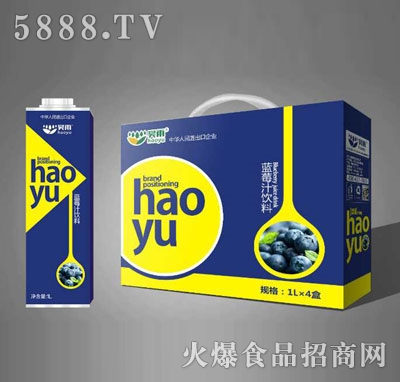 昊雨藍(lán)莓汁飲料（禮盒）