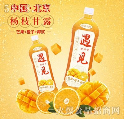 遇見楊枝甘露復(fù)合果汁1.25L