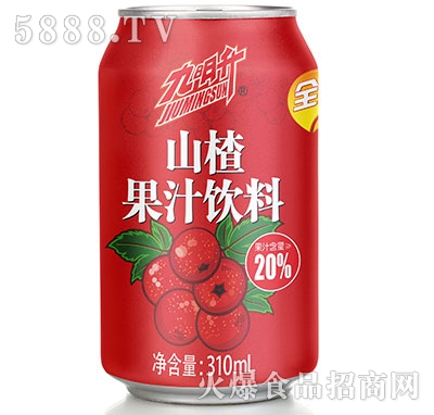 九明升山楂汁310ml