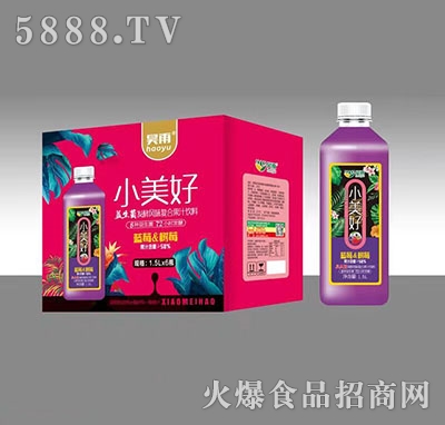 昊雨藍(lán)莓樹莓發(fā)酵風(fēng)味復(fù)合果汁飲料1.5L×6瓶