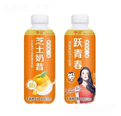 華沃黃桃果粒芝士奶昔乳酸菌飲品520ml
