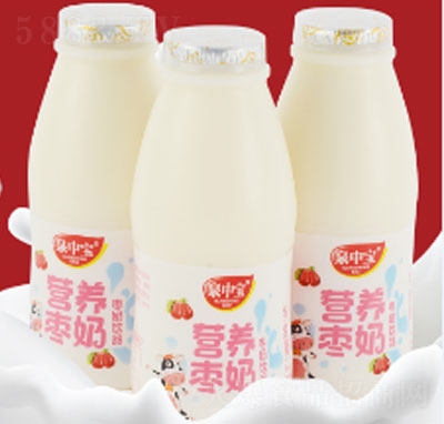 泉中寶營養(yǎng)棗奶（3瓶）