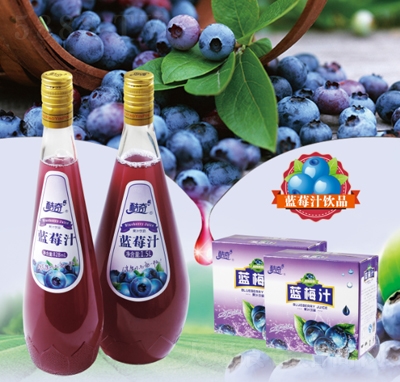 酪奇休閑飲品代理果汁藍(lán)莓汁飲料