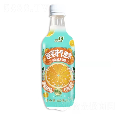 隱雪橙蜜味汽泡水480毫升碳酸飲料蘇打水氣泡水