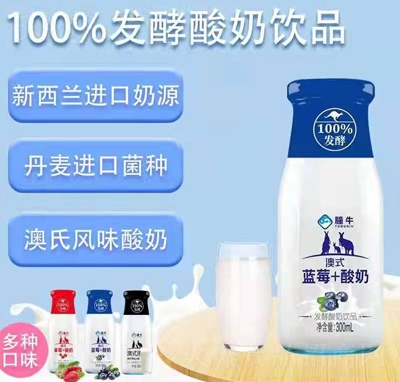 澳式藍(lán)莓+酸奶發(fā)酵酸奶飲品300ml