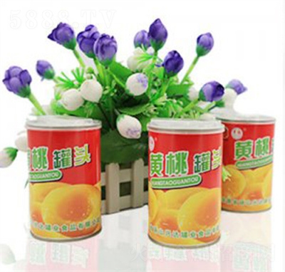 興達(dá)黃桃水果罐頭禮盒裝