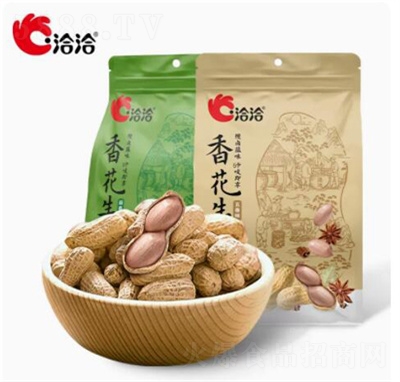 洽洽堅果炒貨蒜香味香花生408g休閑零食