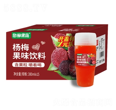 臺(tái)椰果蔬楊梅果味飲料380mlX15瓶