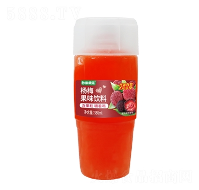 臺(tái)椰果蔬楊梅果味飲料380ml