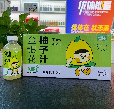 益和源金銀花柚子汁復(fù)合果汁飲品500ml×15