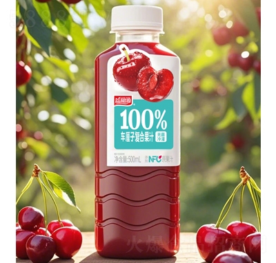 Դ100%܇ӏ(f)Ϲ֭500ml
