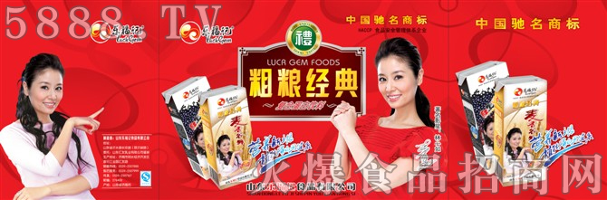樂(lè)福記食品有限公司招商彩頁(yè)