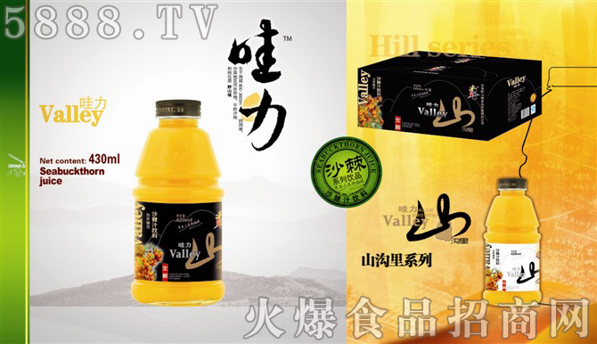 宣傳頁