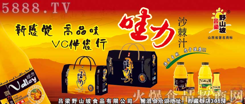 宣傳頁