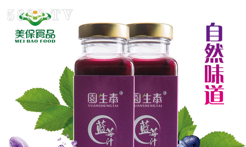 美保食品藍(lán)莓汁
