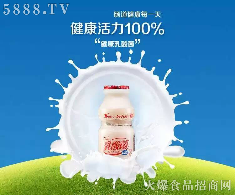 乳酸菌